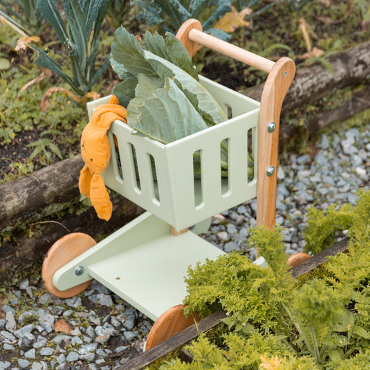 Carro Mercado Montessori