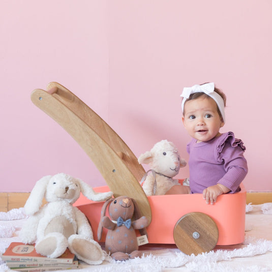 Caminador Montessori